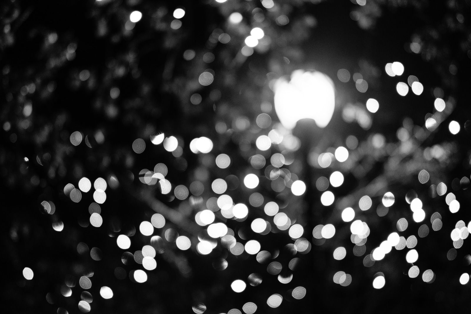 f/2 @ night