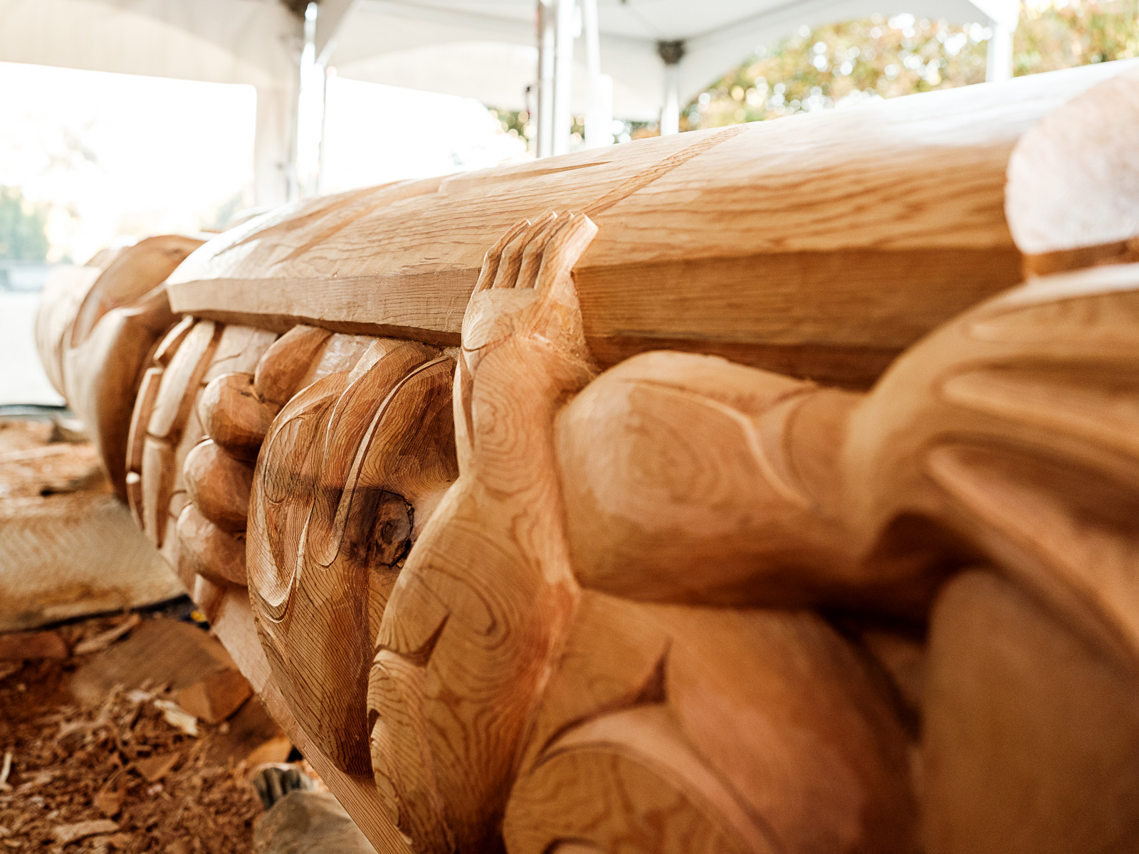 Artists Tom and Perry LaFortune, brothers and members of the Tsa