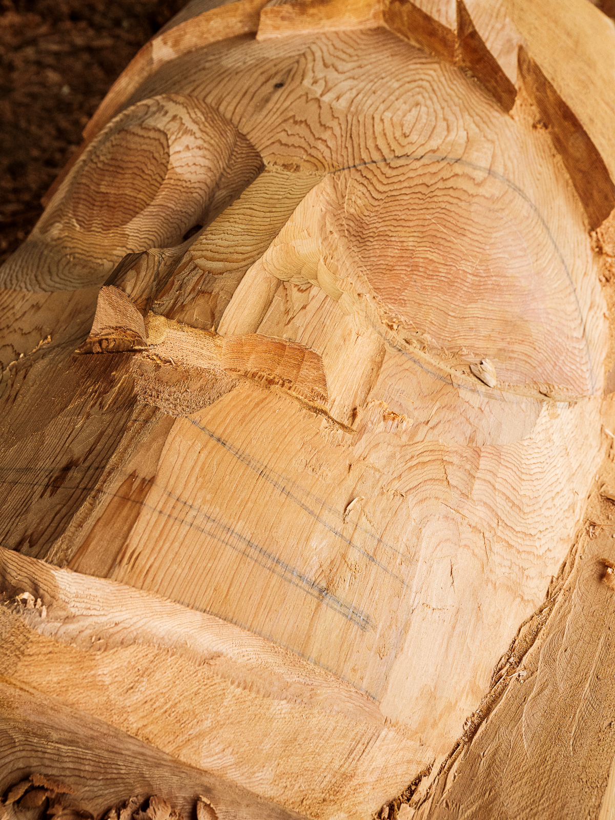 Artists Tom and Perry LaFortune, brothers and members of the Tsa