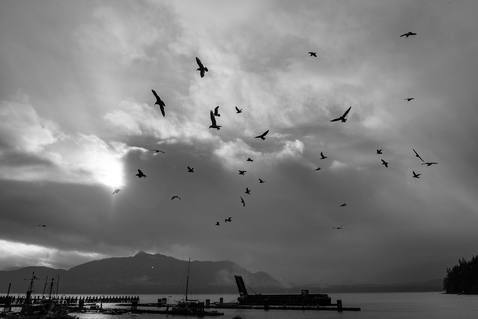 BCGov_181218_AlertBay_050