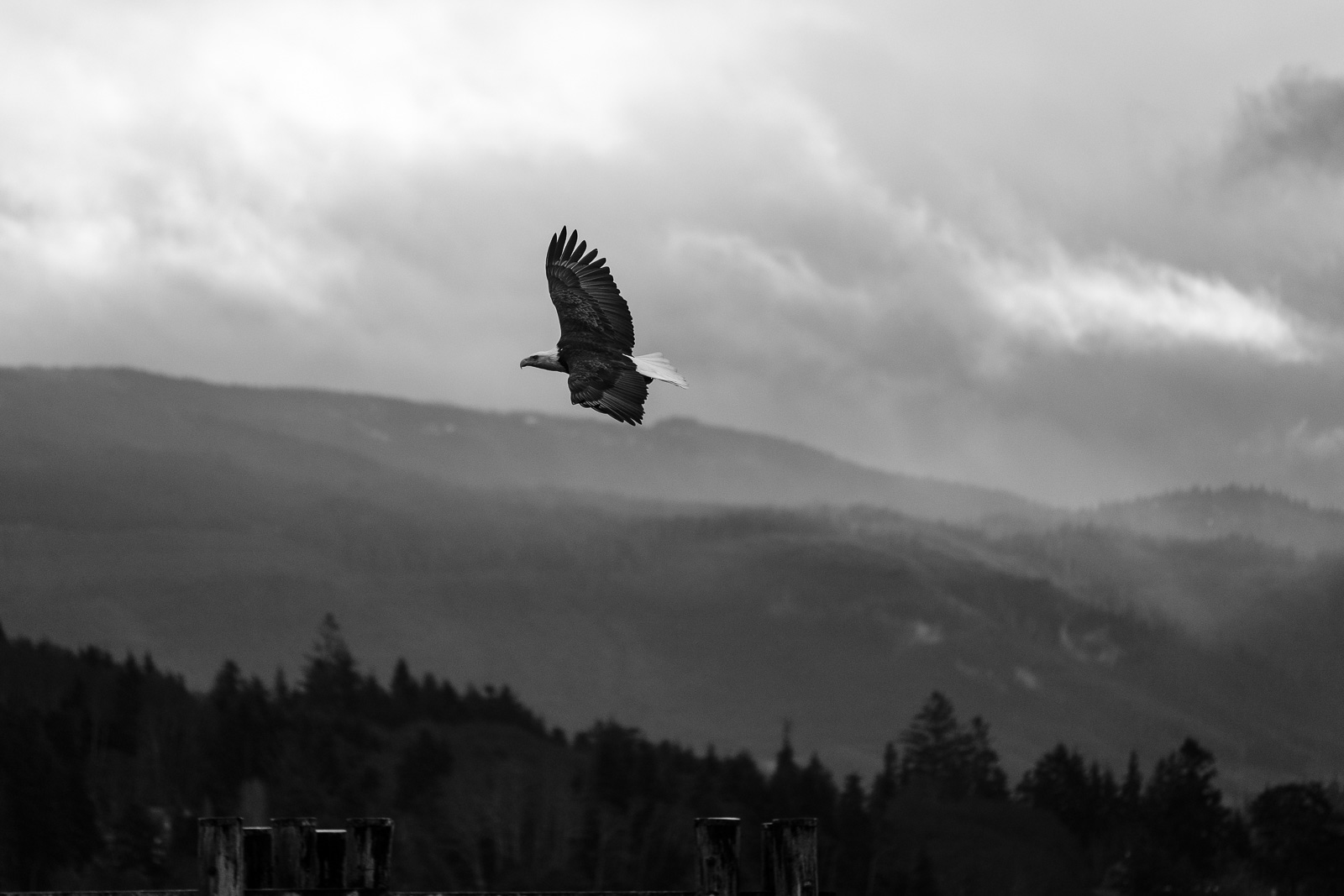 BCGov_181218_AlertBay_058