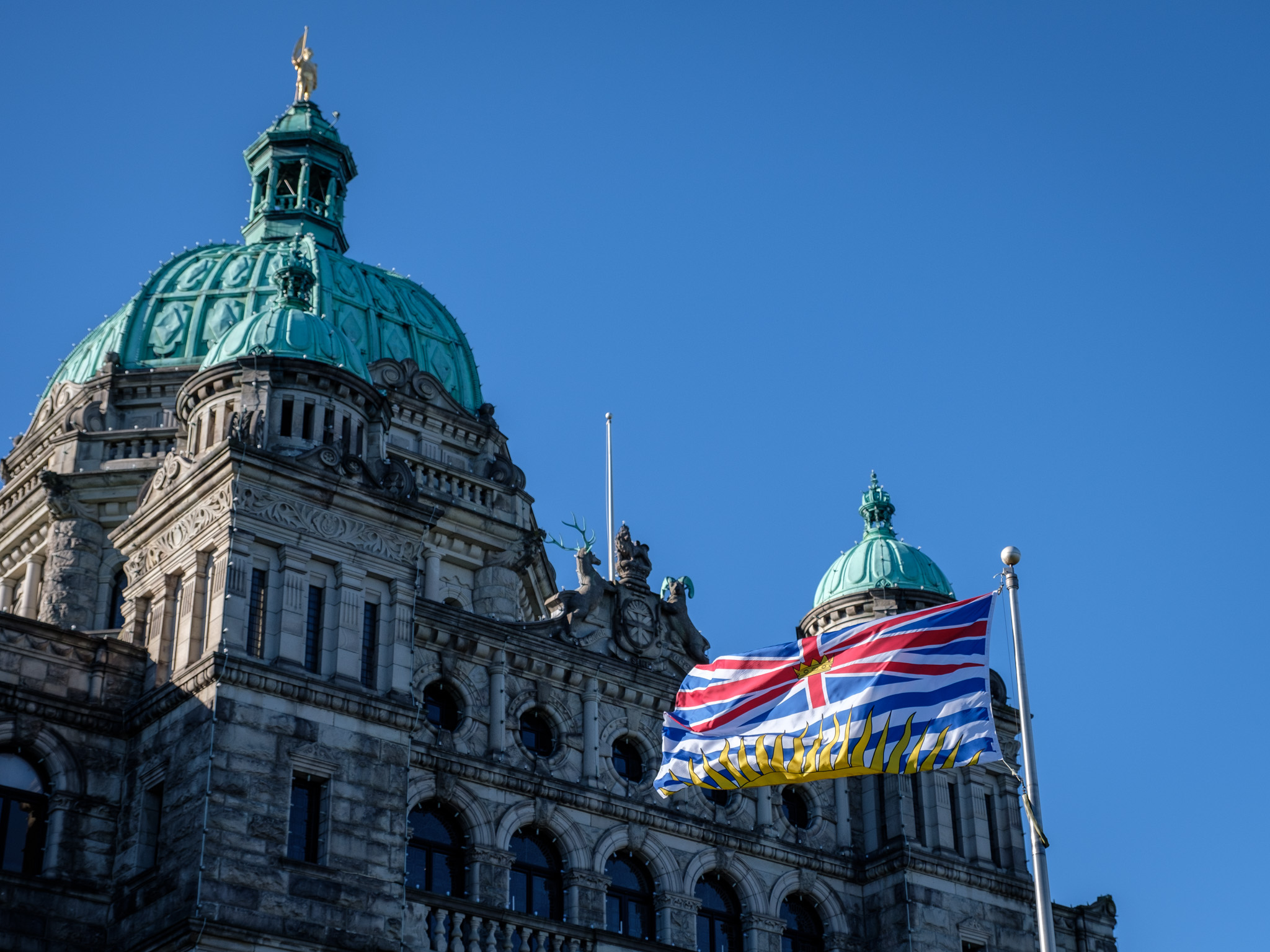 DCraig_190225_PB_003