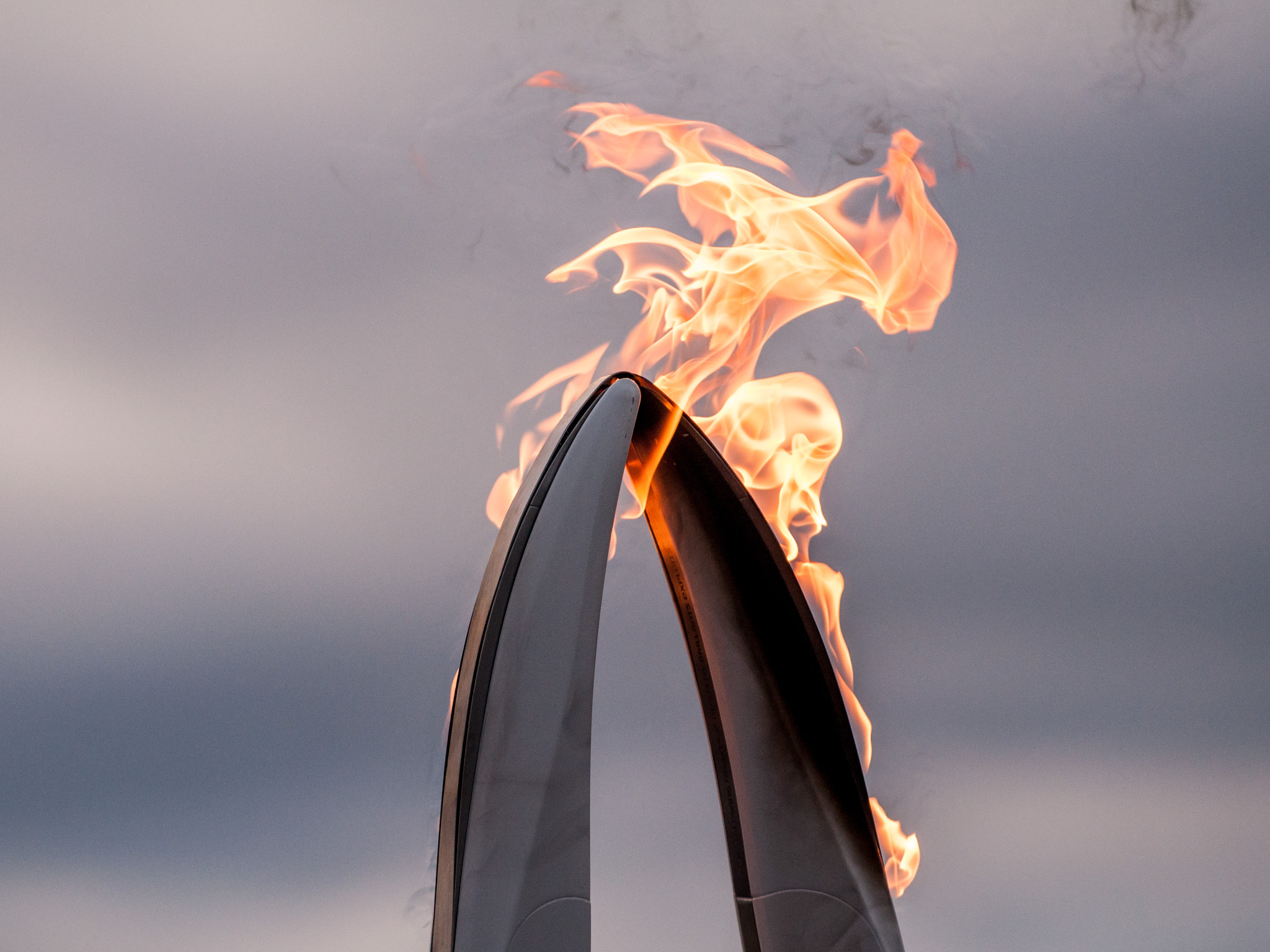 Day_096_BellaBella_298