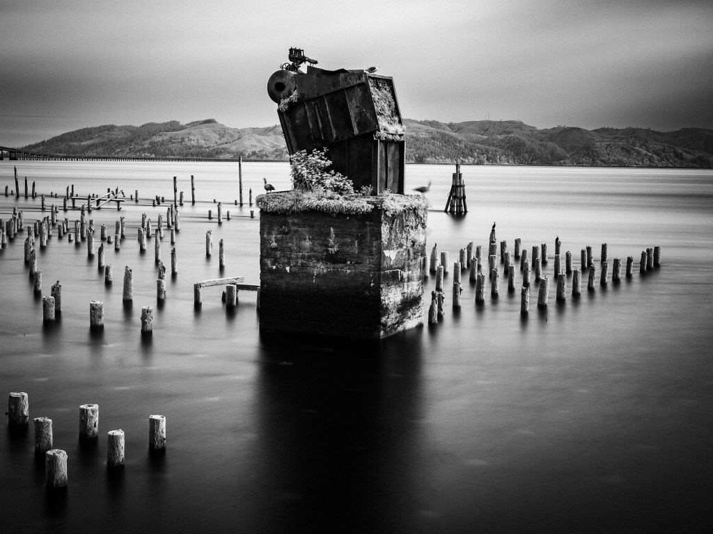 2023 Coastal Calendar