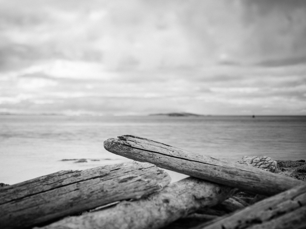 What do you&nbsp;see?