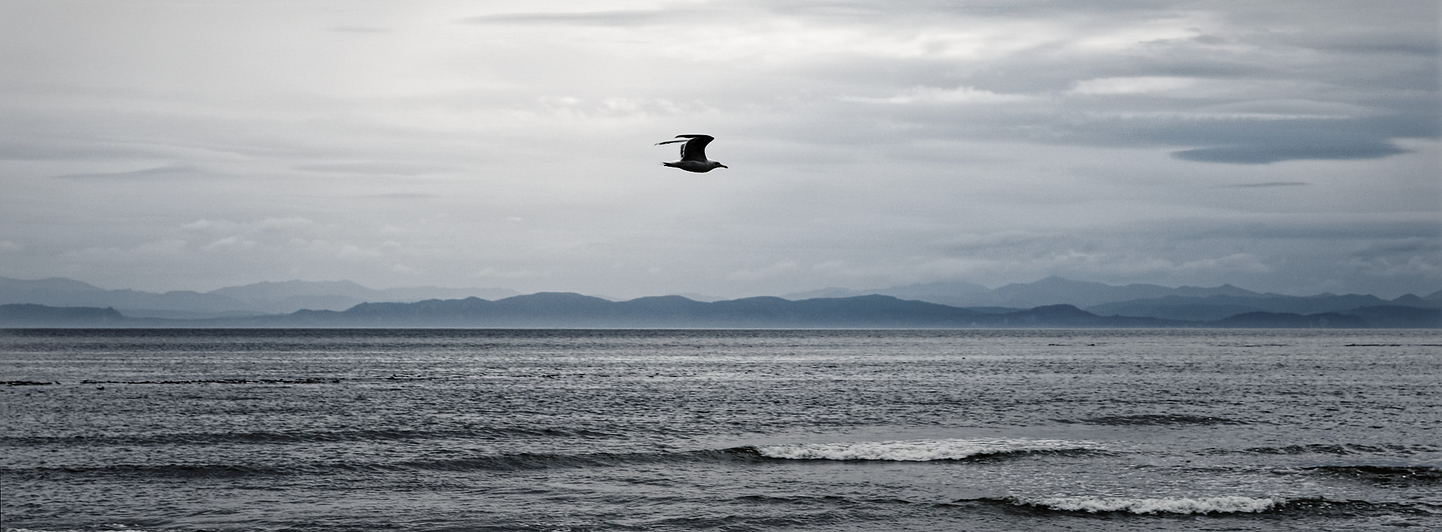 August wandering